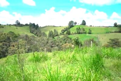 VENDO EN RIO NEGRO LLANO GRANDE HERMOSA HACIENDA