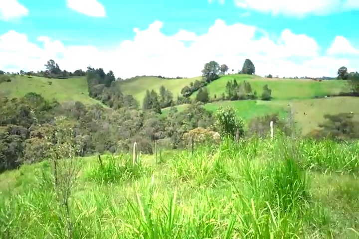 VENDO EN RIO NEGRO LLANO GRANDE HERMOSA HACIENDA