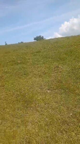 LOTE EN VENTA EN EL PEÑOL