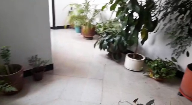 APARTAMENTO EN VENTA EN LA PLAYA DIAGONAL AL TEATRO PABLO TOBON URIBE