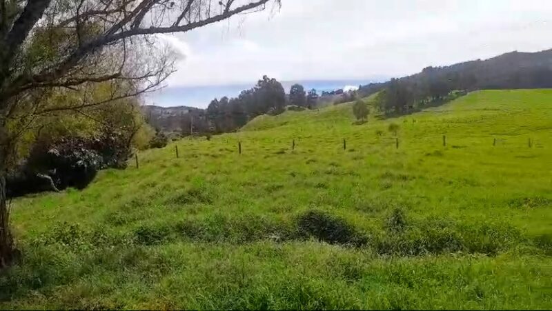 LOTE EN VENTA A TRES CUADRAS DEL PARQUE DE SAN PEDRO DE LOS MILAGROS