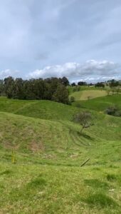 LOTES EN VENTA EN SAN PEDRO DE LOS MILAGROS DESDE 200 MILLONES