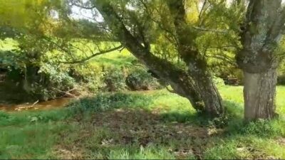 LOTE EN VENTA A TRES CUADRAS DEL PARQUE DE SAN PEDRO DE LOS MILAGROS