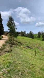 LOTES EN VENTA EN SAN PEDRO DE LOS MILAGROS DESDE 200 MILLONES