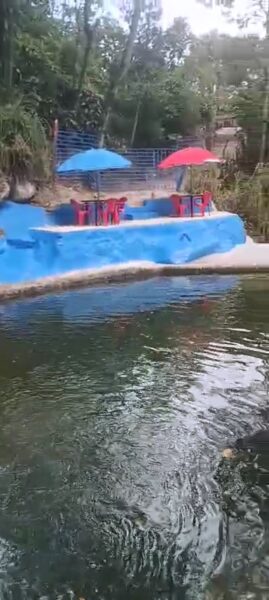 BARBOSA ANTIOQUÍA VENDO ESPECTACULAR FINCA CON INCREÍBLE CHARCO