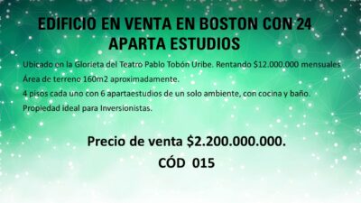 EDIFICIO EN VENTA EN BOSTON CON 24 APARTA ESTUDIOS
