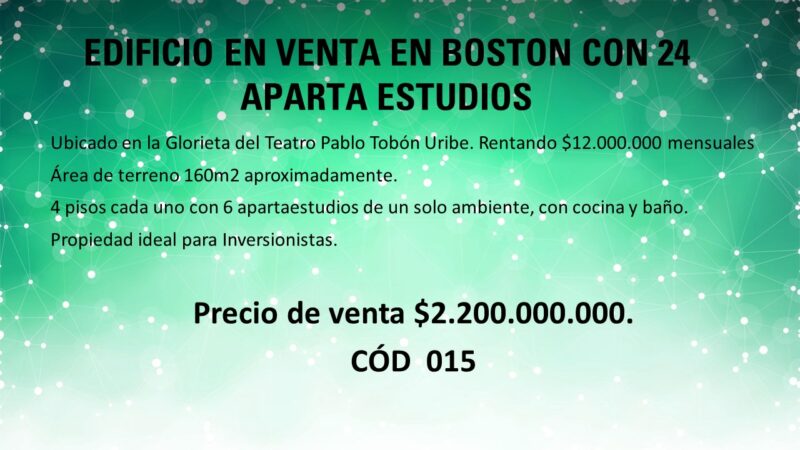 EDIFICIO EN VENTA EN BOSTON CON 24 APARTA ESTUDIOS