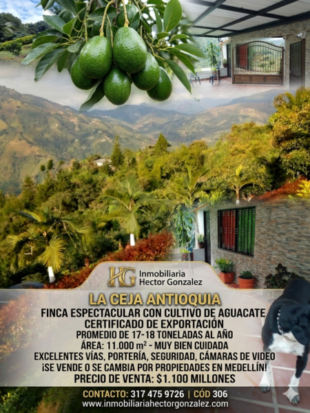 FINCA EN VENTA EN LA CEJA ANTIOQUÍA
