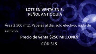 LOTE EN VENTA EN EL PEÑOL