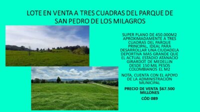 LOTE EN VENTA A TRES CUADRAS DEL PARQUE DE SAN PEDRO DE LOS MILAGROS