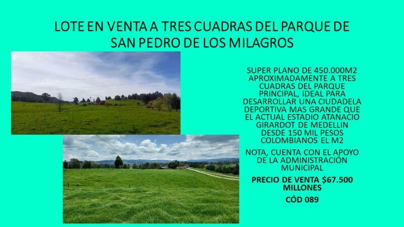 LOTE EN VENTA A TRES CUADRAS DEL PARQUE DE SAN PEDRO DE LOS MILAGROS