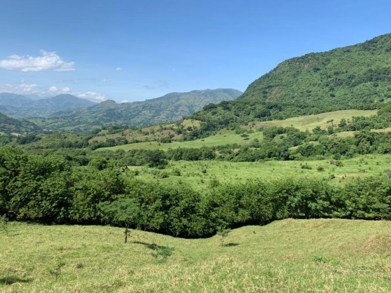 SANTA BARBARA ANTIOQUÍA, FINCA GANADERA EN VENTA