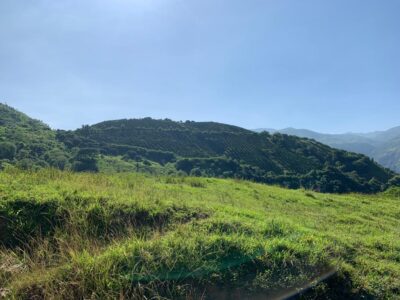 SANTA BARBARA ANTIOQUÍA, FINCA GANADERA EN VENTA