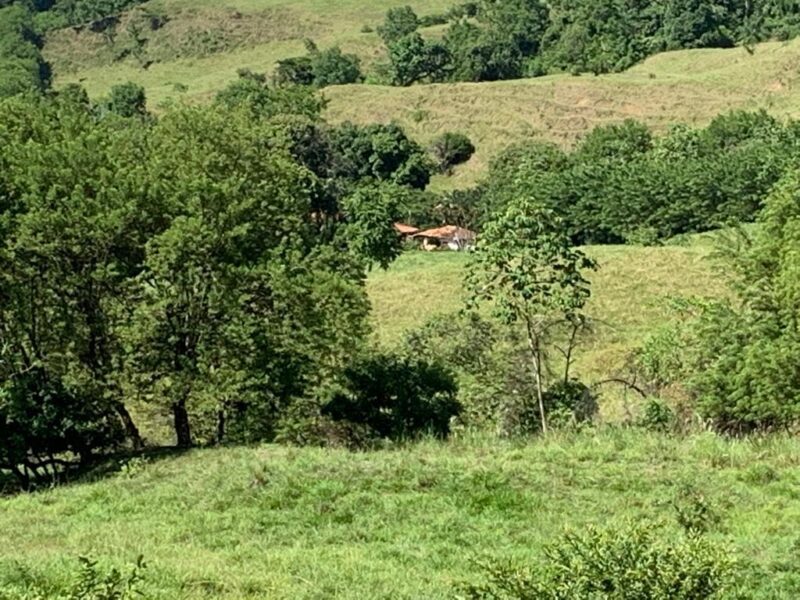 SANTA BARBARA ANTIOQUÍA, FINCA GANADERA EN VENTA