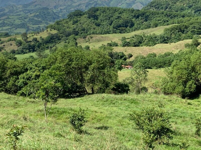 SANTA BARBARA ANTIOQUÍA, FINCA GANADERA EN VENTA