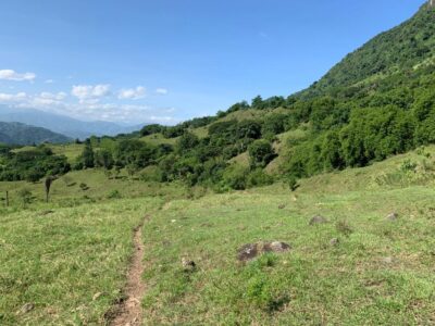 SANTA BARBARA ANTIOQUÍA, FINCA GANADERA EN VENTA