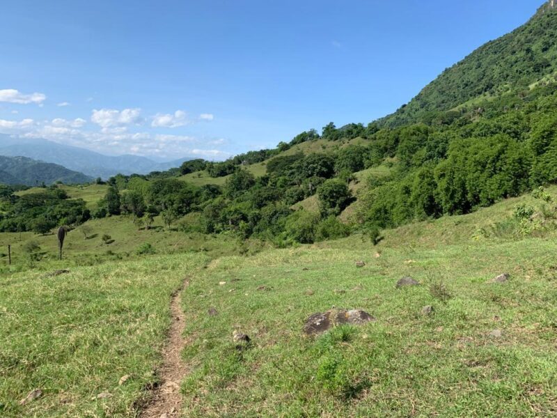 SANTA BARBARA ANTIOQUÍA, FINCA GANADERA EN VENTA