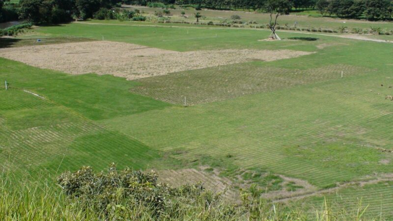 GIRARDOTA ANTIOQUÍA LOTE INDUSTRIAL EN VENTA