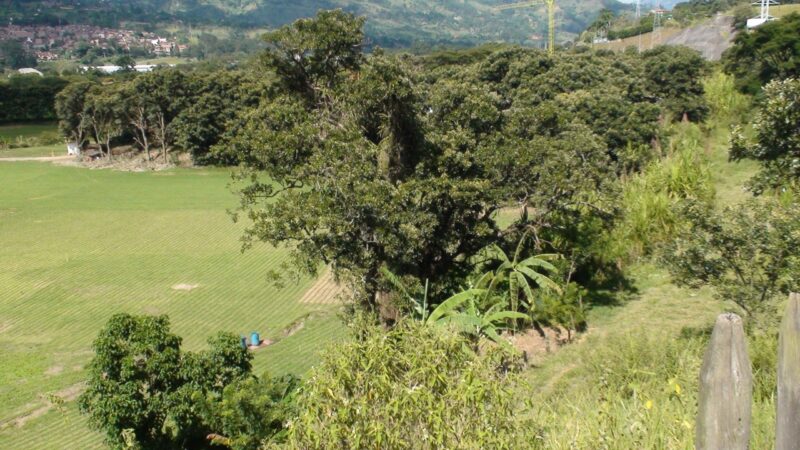 GIRARDOTA ANTIOQUÍA LOTE INDUSTRIAL EN VENTA