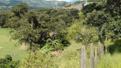 GIRARDOTA ANTIOQUÍA LOTE INDUSTRIAL EN VENTA