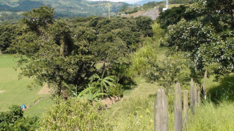 GIRARDOTA ANTIOQUÍA LOTE INDUSTRIAL EN VENTA