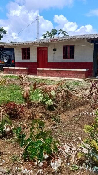 FINCA EN VENTA EN SAN ROQUE, 5 HECTÁREAS