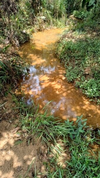 FINCA EN VENTA EN SAN ROQUE, 5 HECTÁREAS