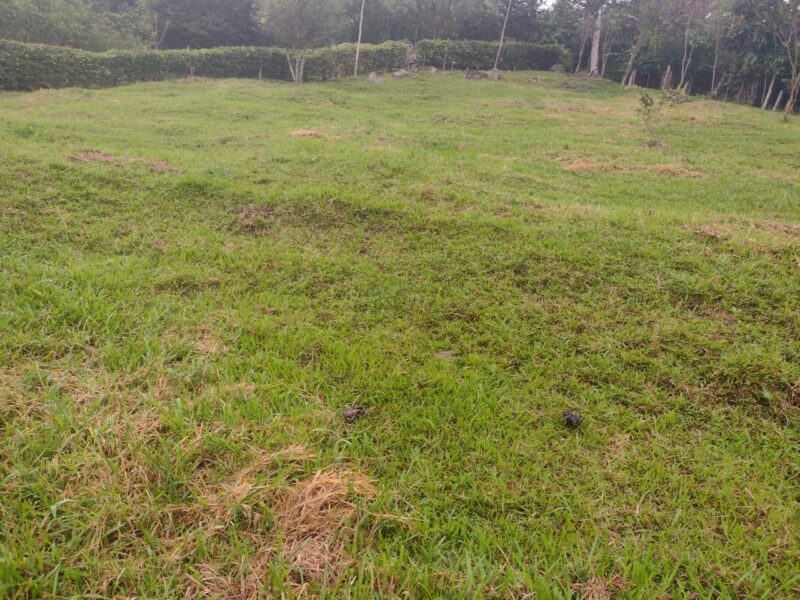 BARBOSA ANTIOQUÍA FINCA EN VENTA