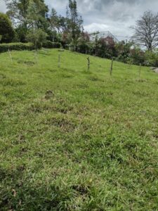BARBOSA ANTIOQUÍA FINCA EN VENTA
