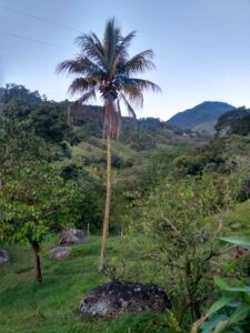 BARBOSA ANTIOQUÍA FINCA EN VENTA