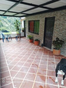 FINCA EN VENTA EN LA CEJA ANTIOQUÍA