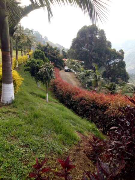 FINCA EN VENTA EN LA CEJA ANTIOQUÍA