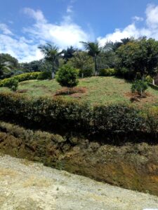 FINCA EN VENTA EN LA CEJA ANTIOQUÍA