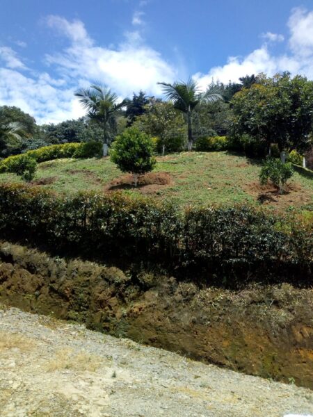 FINCA EN VENTA EN LA CEJA ANTIOQUÍA
