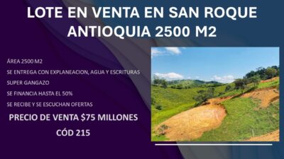 LOTE EN VENTA EN SAN ROQUE ANTIOQUÍA 2500 M2