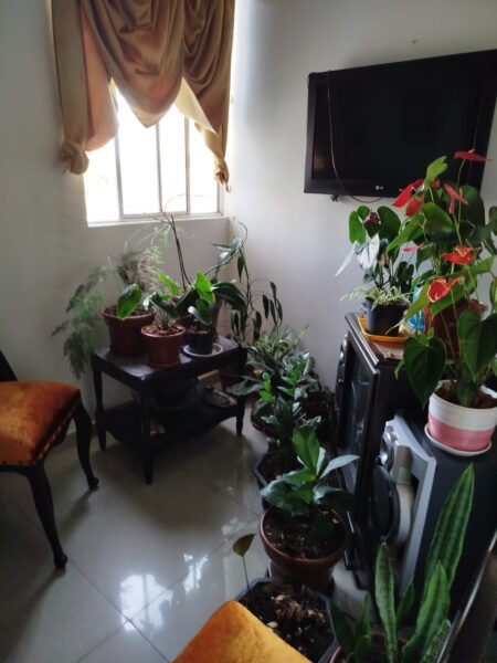 VENDO APARTA ESTUDIO MUY CERCA AL PARQUE DE BOSTON