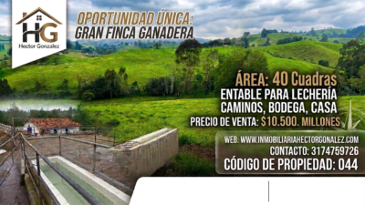 FINCA EN VENTA EN SAN PEDRO DE LOS MILAGROS VEREDA CEREZALES