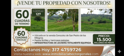 FINCA EN VENTA EN SAN PEDRO DE LOS MILAGROS VEREDA CEREZALEZ