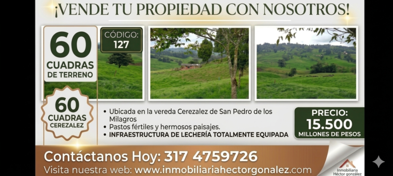 FINCA EN VENTA EN SAN PEDRO DE LOS MILAGROS VEREDA CEREZALEZ
