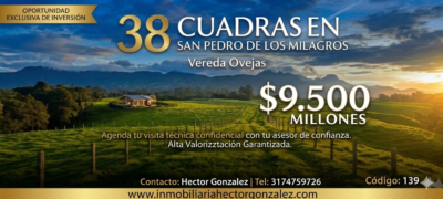 SAN PEDRO DE LOS MILAGROS LOTE EN VENTA
