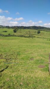 SANTA ROSA DE OSOS FINCA EN VENTA