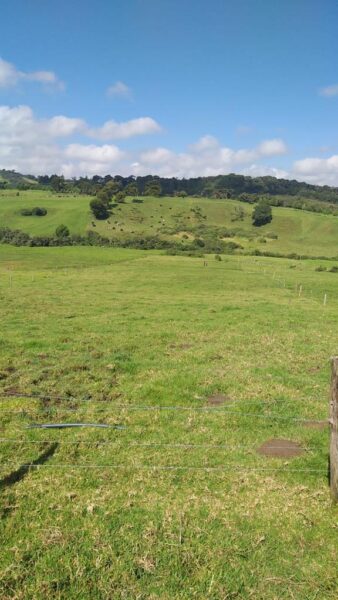 SANTA ROSA DE OSOS FINCA EN VENTA