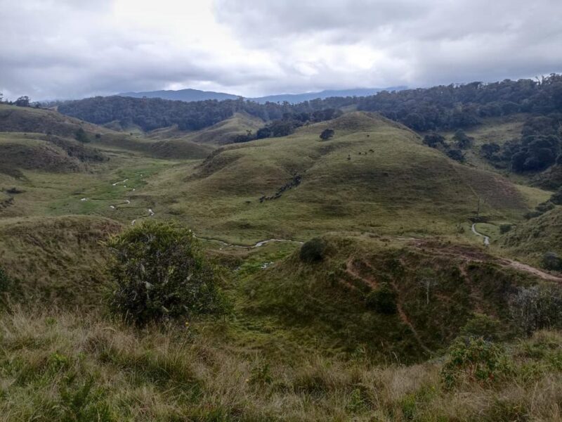 SANTA ROSA DE OSOS FINCA EN VENTA