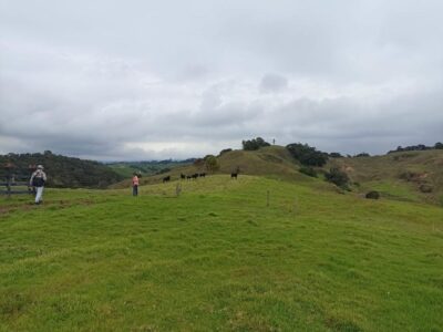 SANTA ROSA DE OSOS FINCA EN VENTA