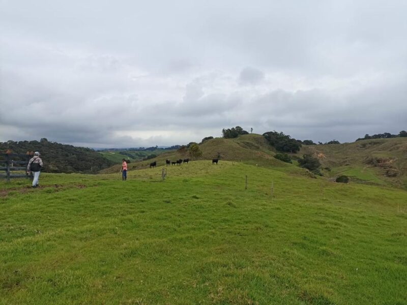 SANTA ROSA DE OSOS FINCA EN VENTA