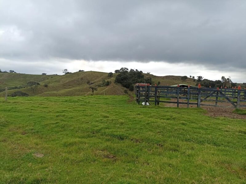 SANTA ROSA DE OSOS FINCA EN VENTA