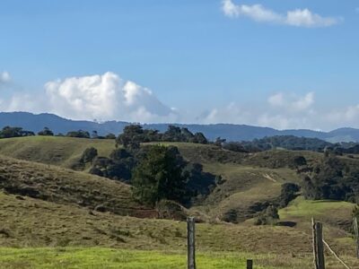 SANTA ROSA DE OSOS FINCA EN VENTA